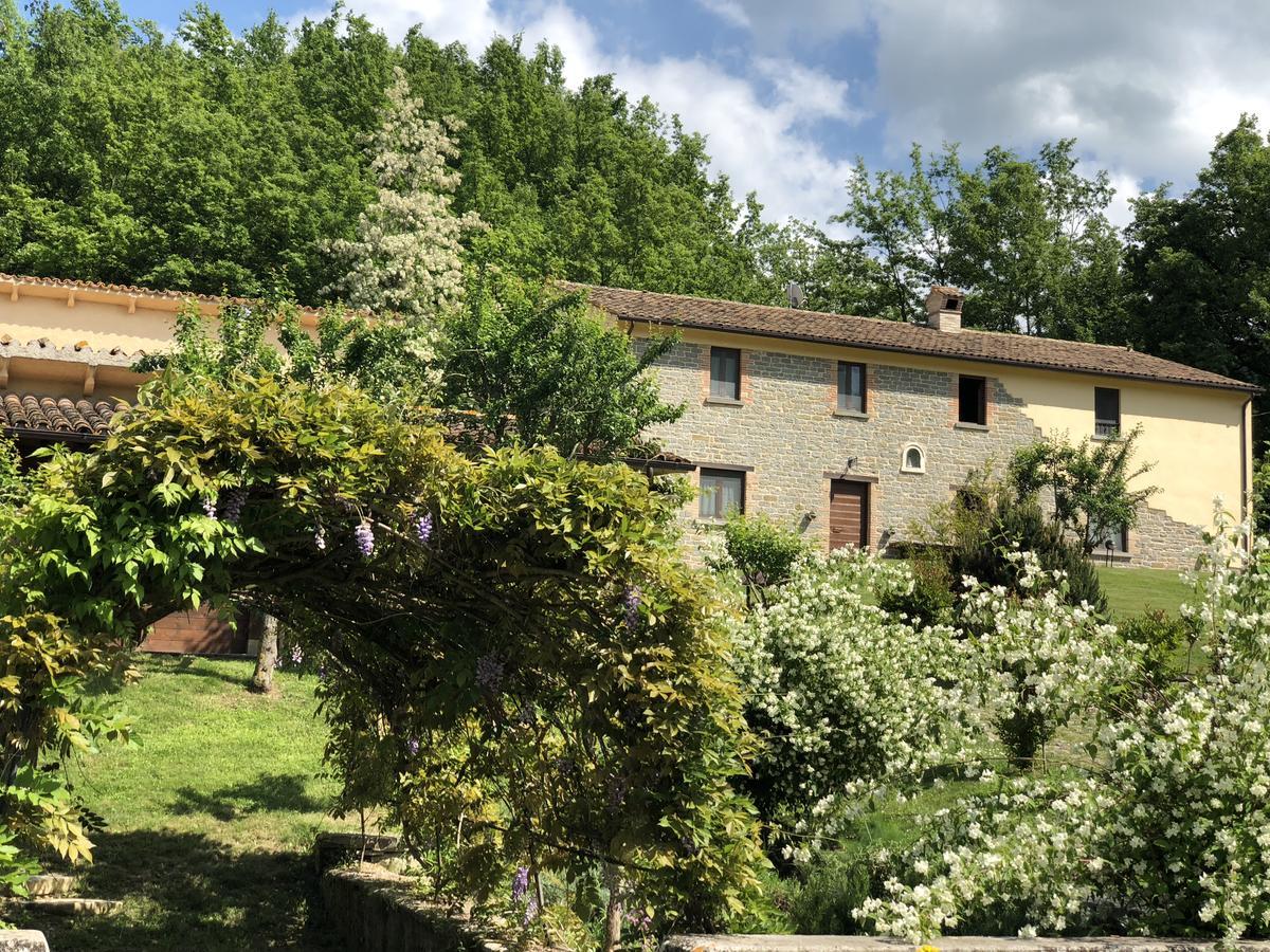 Agriturismo La Ferraia Pianello  Extérieur photo
