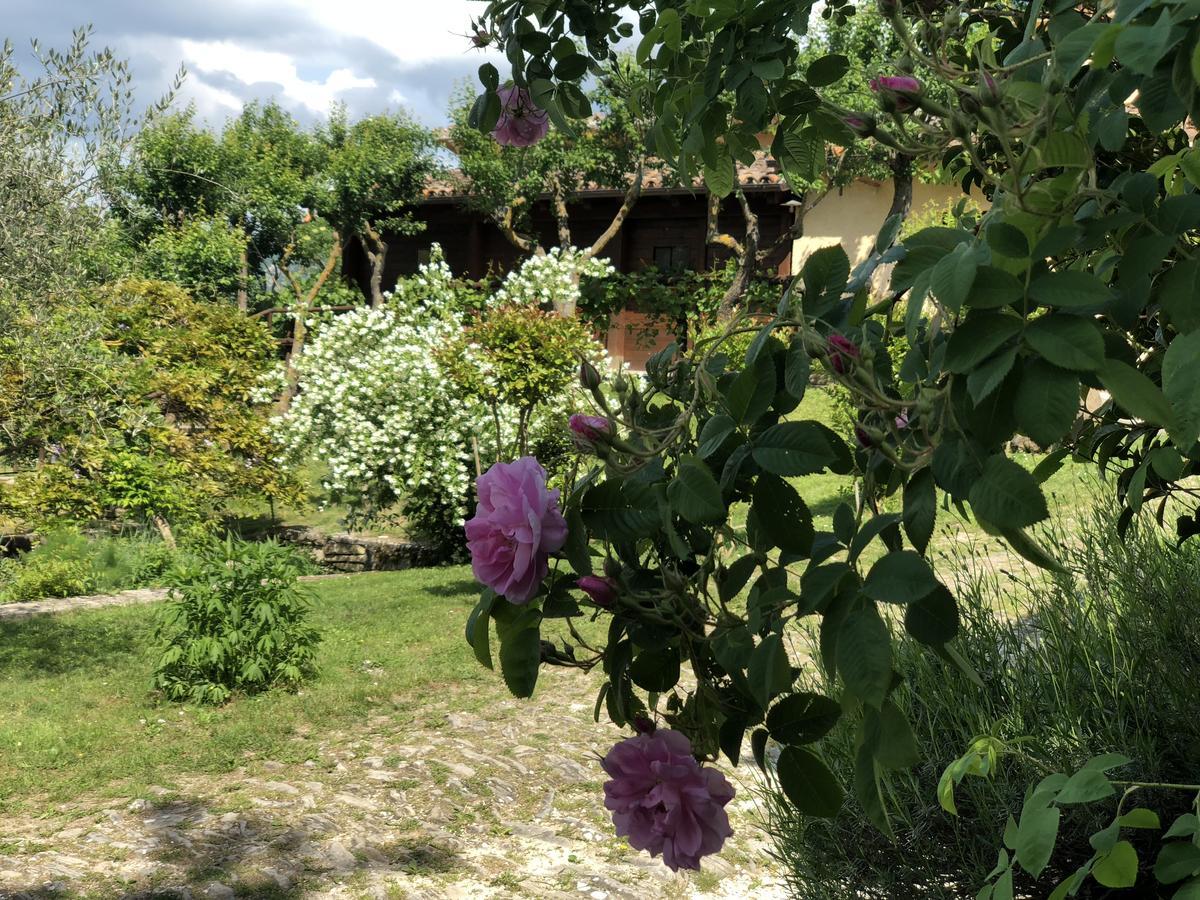 Agriturismo La Ferraia Pianello  Extérieur photo